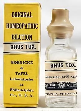 File:Rhustox.jpg