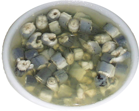 File:Bowlofeels.jpg