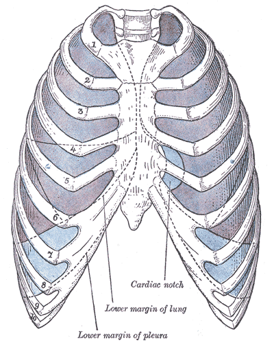 File:Gray965.png