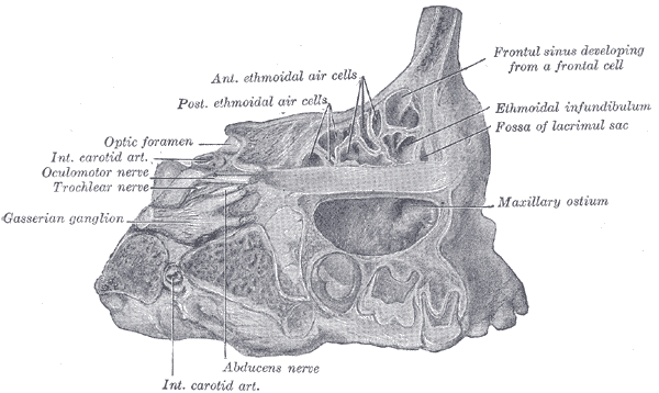 File:Gray861.png