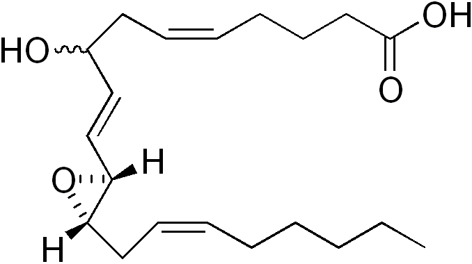 File:Hepoxilin A3.png