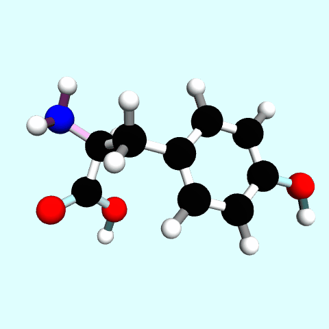 File:Tyrosine-spin.gif