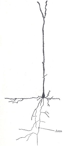 File:Gray627.png