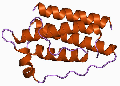 File:Metreleptin.png