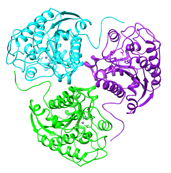 File:2pha humanarginase.png