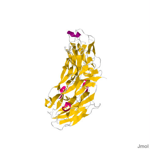 File:5JVF.pdb.jpg
