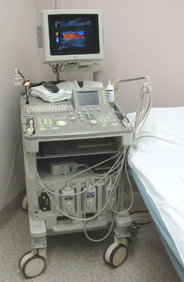 File:AlokaPhoto2006a.jpg