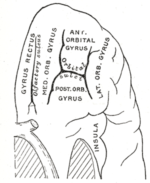 File:Gray729.png
