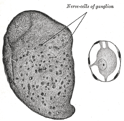 File:Gray639.png