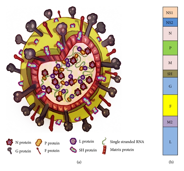 File:595768.fig.001.jpg