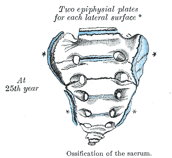 File:Gray109.png