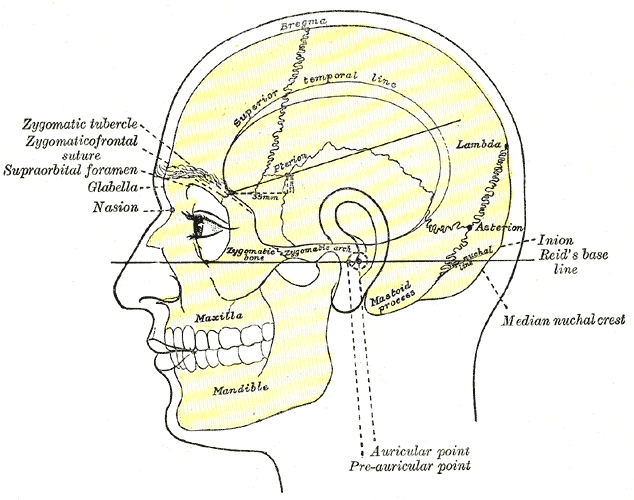File:Gray1193.png