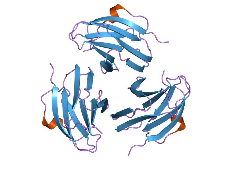 File:PDB 1pm4 EBI.jpg