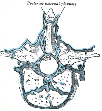 File:Gray578.png