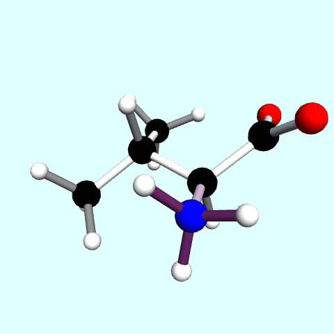File:Valine-spin.gif