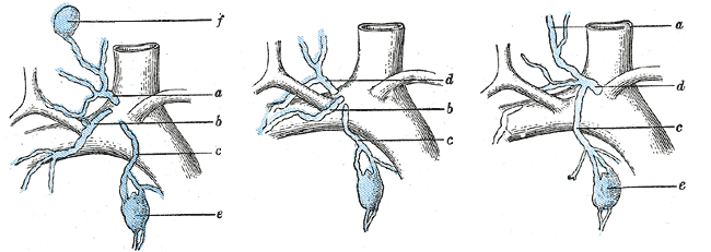 File:Gray601.png