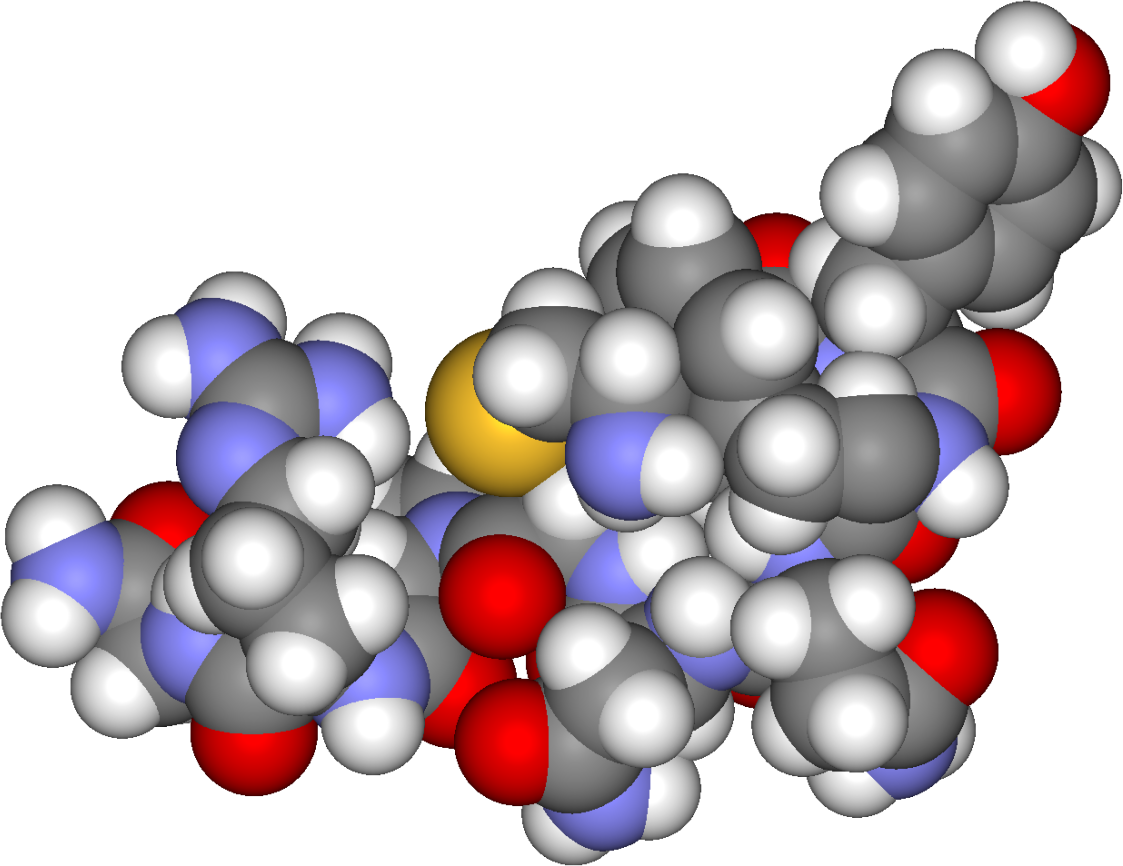 3D structure of arginine vasopressin