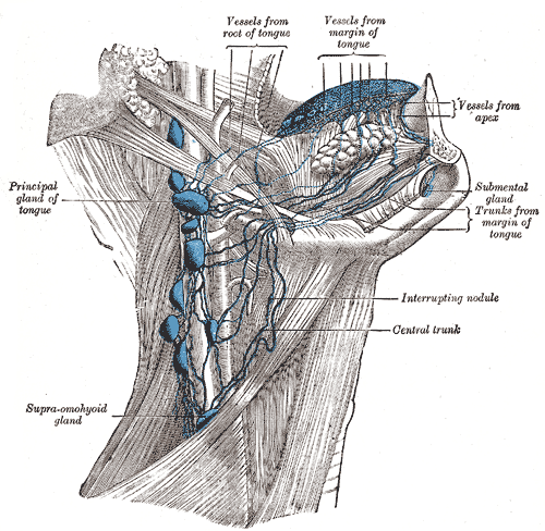File:Gray605.png
