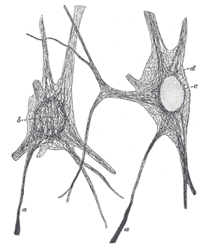 File:Gray629.png