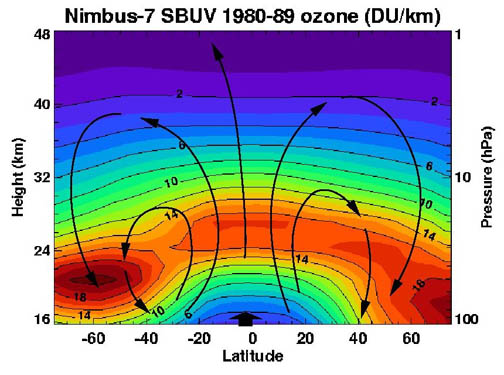 File:Nimbus ozone Brewer-Dobson circulation.jpg