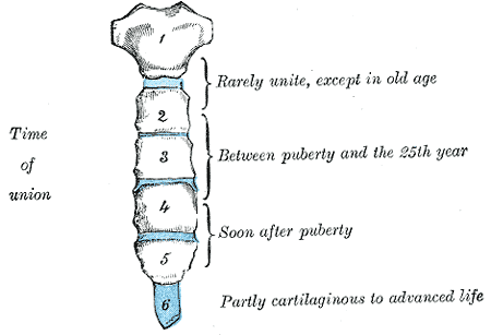 File:Gray119.png