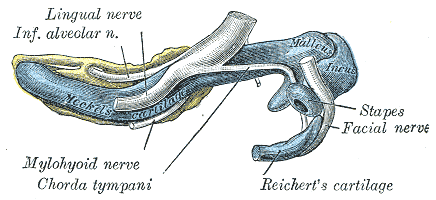 File:Gray179.png