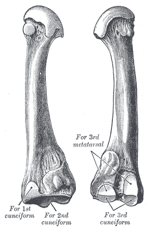 File:Gray285.png