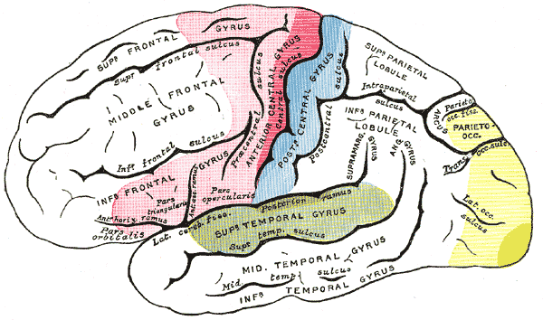 File:Gray756.png