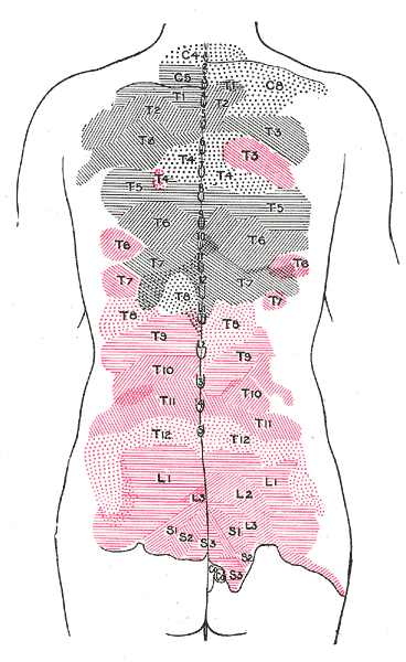File:Gray802.png