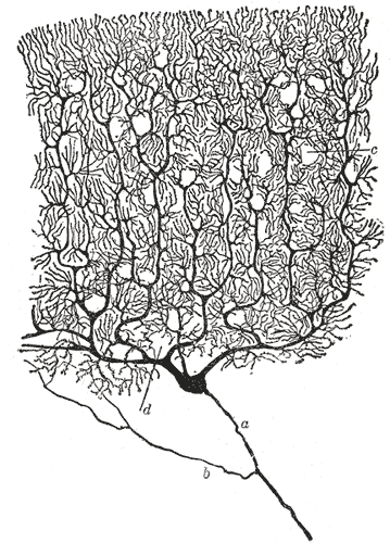 File:Gray628.png