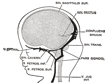 File:Gray487.png