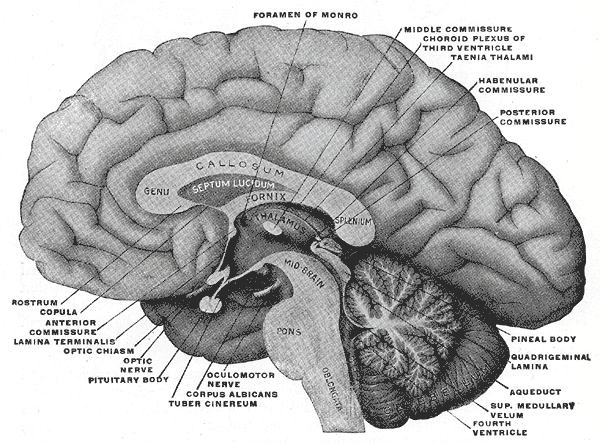 File:Gray715.png