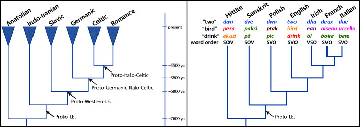 File:A-phylogeny-of-the-Indo-European-languages-showing-several-of-the-major-groups-and-the.png