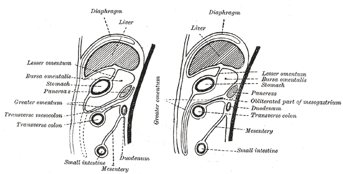 File:Gray990.png