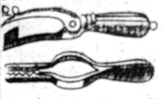 File:Tweezers or Volfella from Academy of Armory 1693.jpg