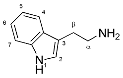 File:Tryptamine structure.png