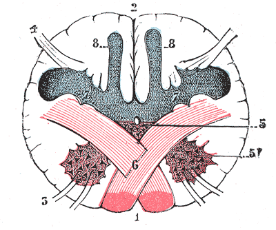 File:Gray688.png