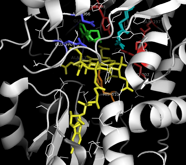File:Active site MCM colors.png