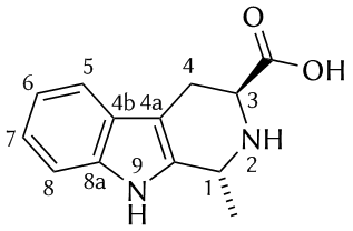 File:(1R, 3S)-1-methyltetrahydro-carboline-3-carboxylic acid.png