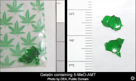 File:5meo amt sample dea1.jpg