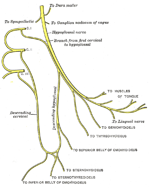 File:Gray795.png