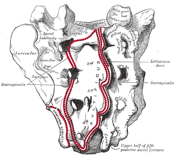 File:Gray96.png