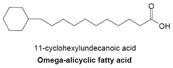 File:11-cyclohexyludencanioc acid.png