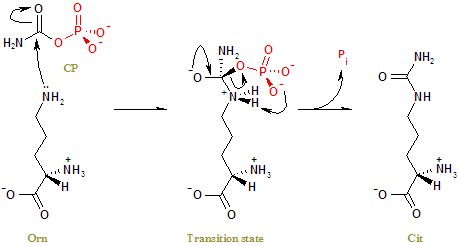 File:OTC reaction.png