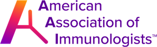 File:AAI Logo Color 2024.png
