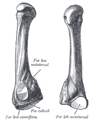 File:Gray287.png
