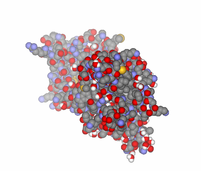 File:Brain-derived neurotrophic factor - PDB id 1BND.png