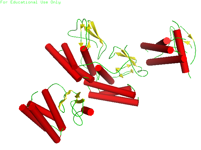 File:Calcitoninpeptide.png