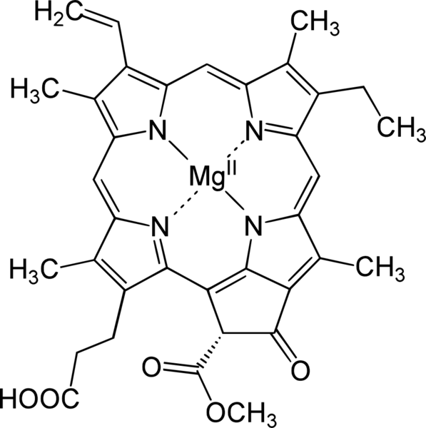 File:Protochlorophyllide a.png