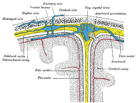 File:Gray769.png